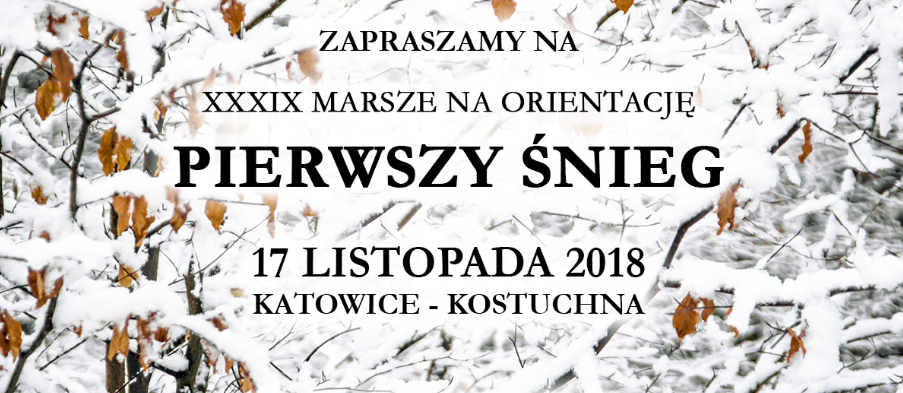 Plakat biegu